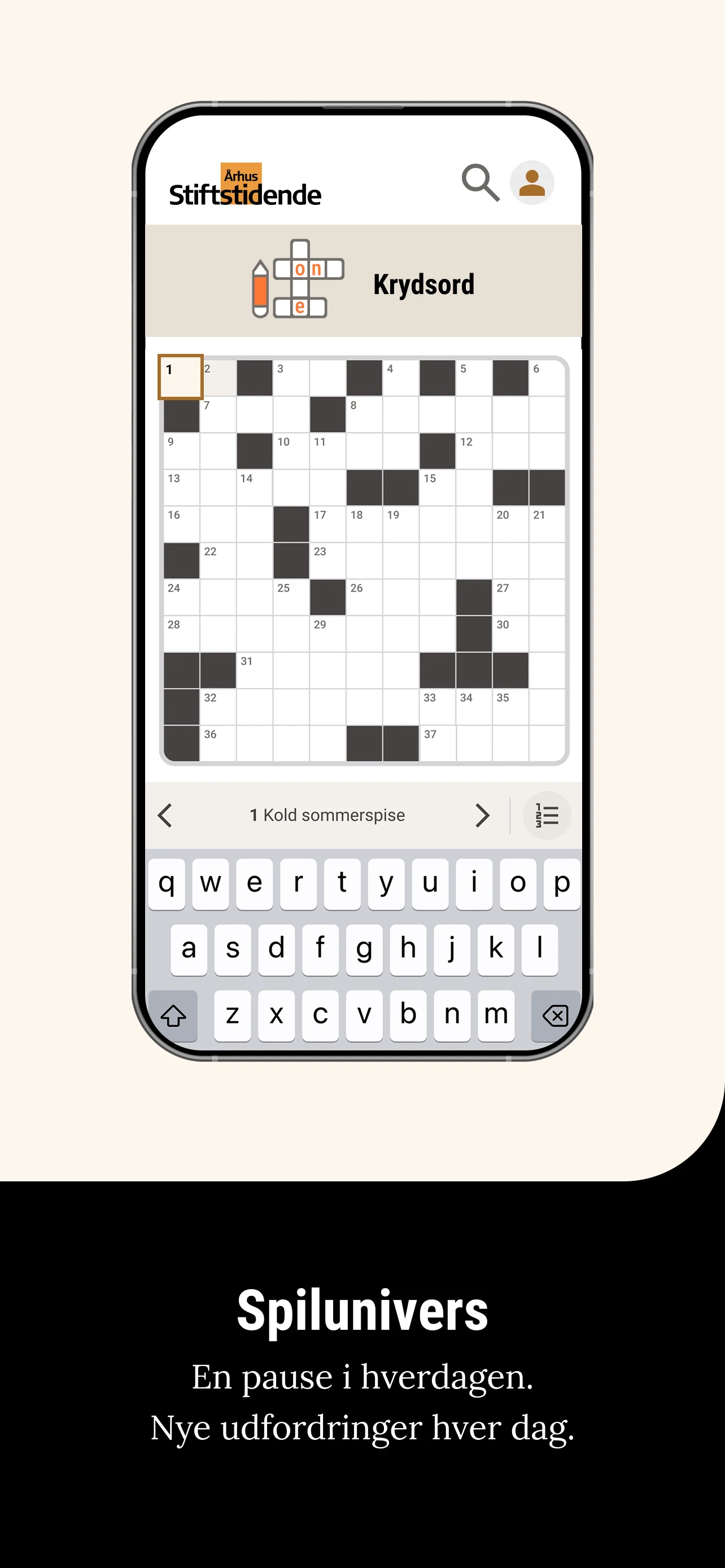 Århus Stiftstidende screenshot